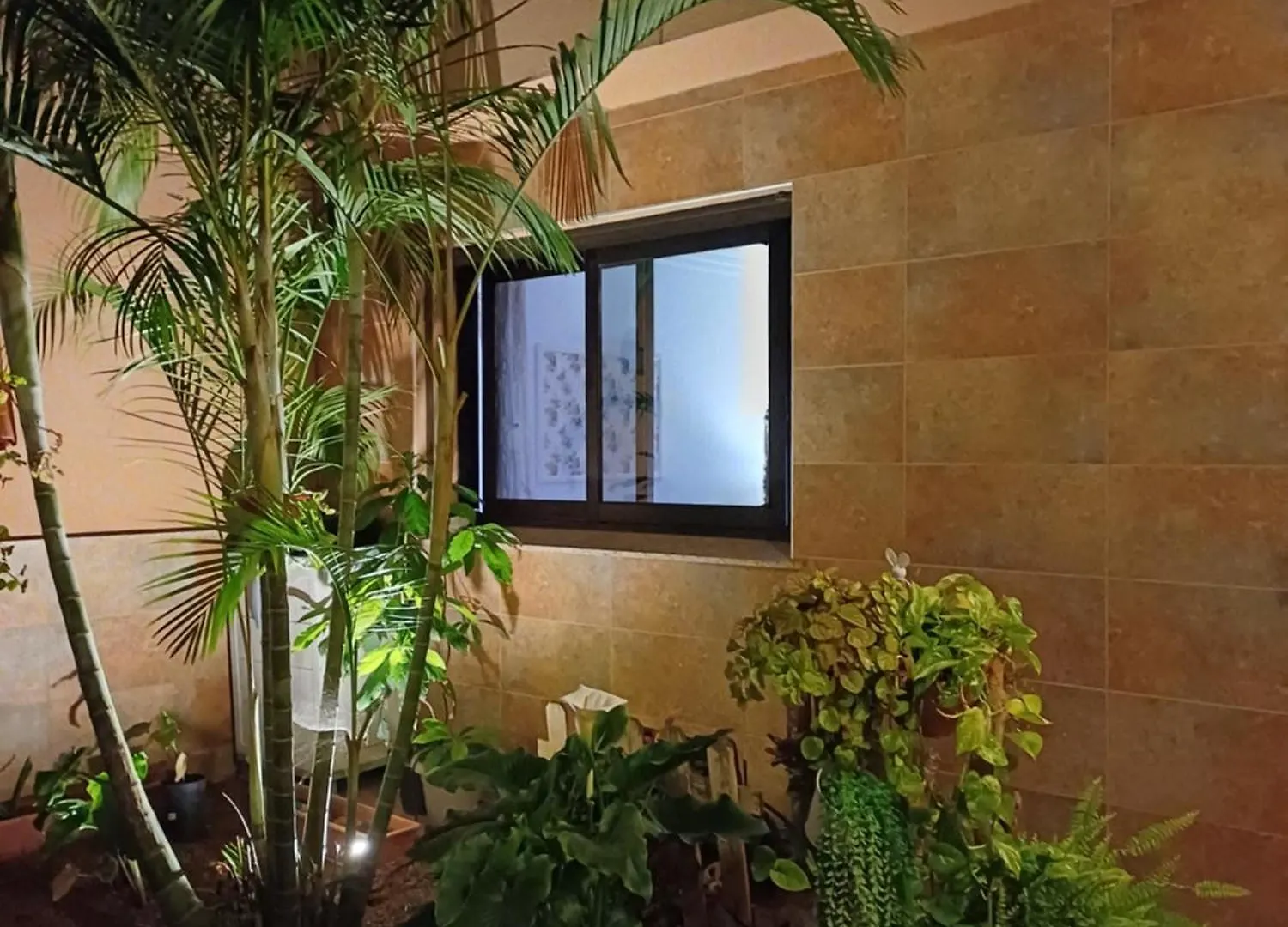 Ferienwohnung Viajeros San Cristóbal de La Laguna